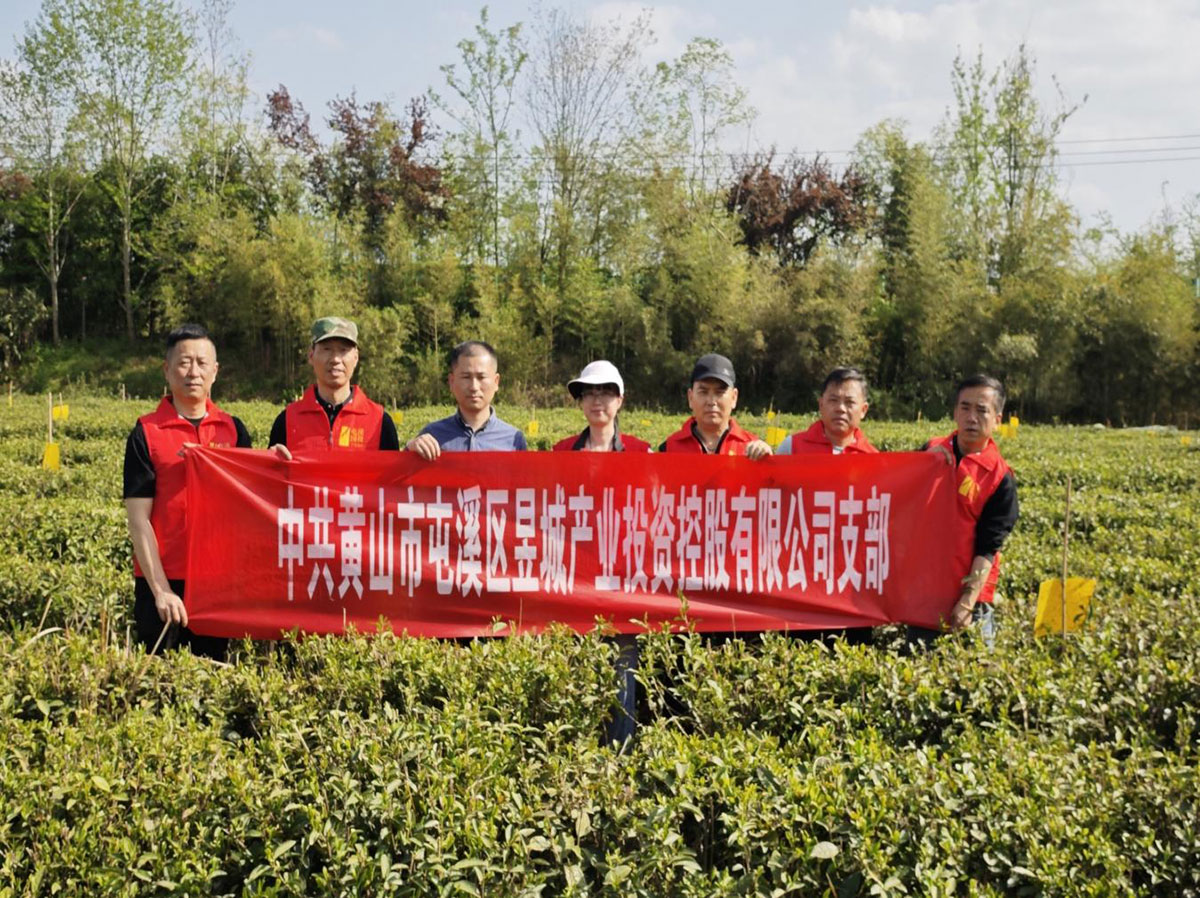 昱城產(chǎn)投公司黨支部開展“茶香潤初心，黨旗映茶園”主題黨日活動